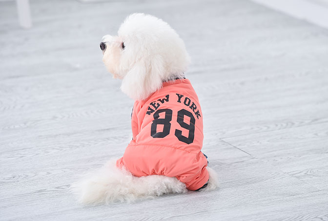 GA20063 Warm dog coat