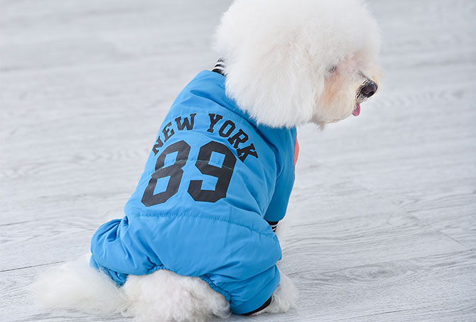 GA20063 Warm dog coat