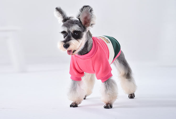 GA20071 Plush dog jacket