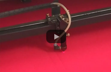 GloAnimax laser cutting