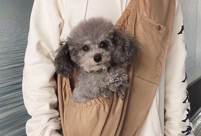 Pet carrier bag