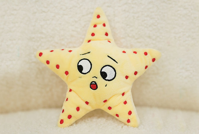 Pet toy Octopus starfish and manta ray
